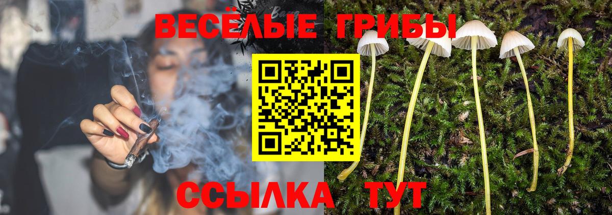 Семёнов  Псилоцибиновые грибы MAGIC MUSHROOMS  Галлюциногенные грибы Psilocybe  Вход с VPN 